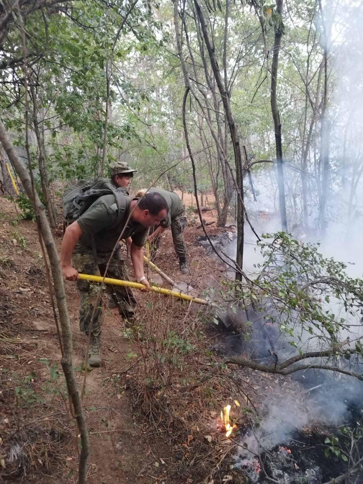 Армията участва в потушаването на пожар