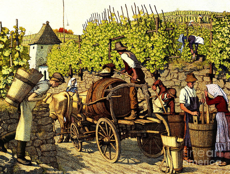 Опияняващата история на виното и ракията