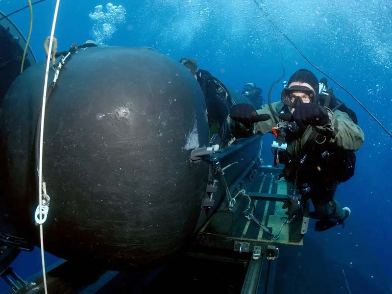 Подводните канута на морските тюлени