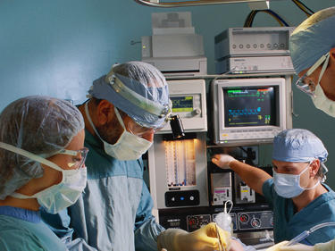 Пробив в медицината: Трансплантираха на човек два бъбрека от прасе