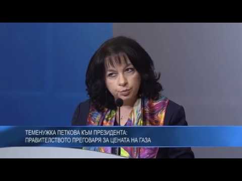Теменужка Петкова към президента: Правителството преговаря за цената на газа