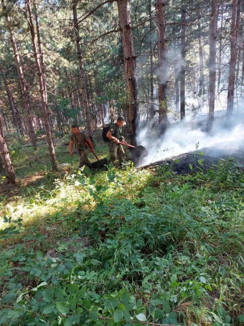 Пожарът край Свиленградско, в чието потушаване участват военнослужещи е локализиран и овладян