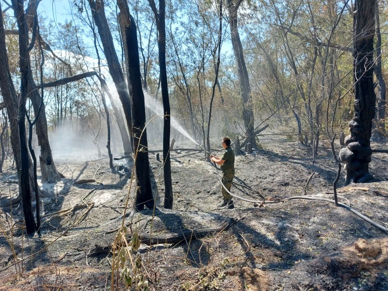 Военнослужещи от Сухопътните войски оказват помощ при гасенето на пожари в областите Стара Загора и Хасково