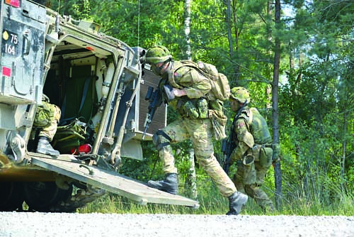 В датската армия желаещите за войници са много,  а местата – малко