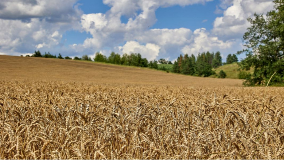 Русия заплаши с провал на зърнената сделка, ако няма гаранции за руския селскостопански износ