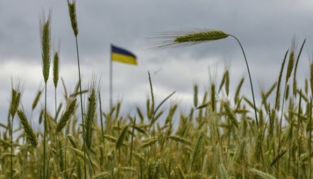 Щети по силози за зърно и складове след руска атака по украински пристанища на Дунав - armymedia.bg Щети по силози за зърно и складове след руска атака по украински пристанища на Дунав