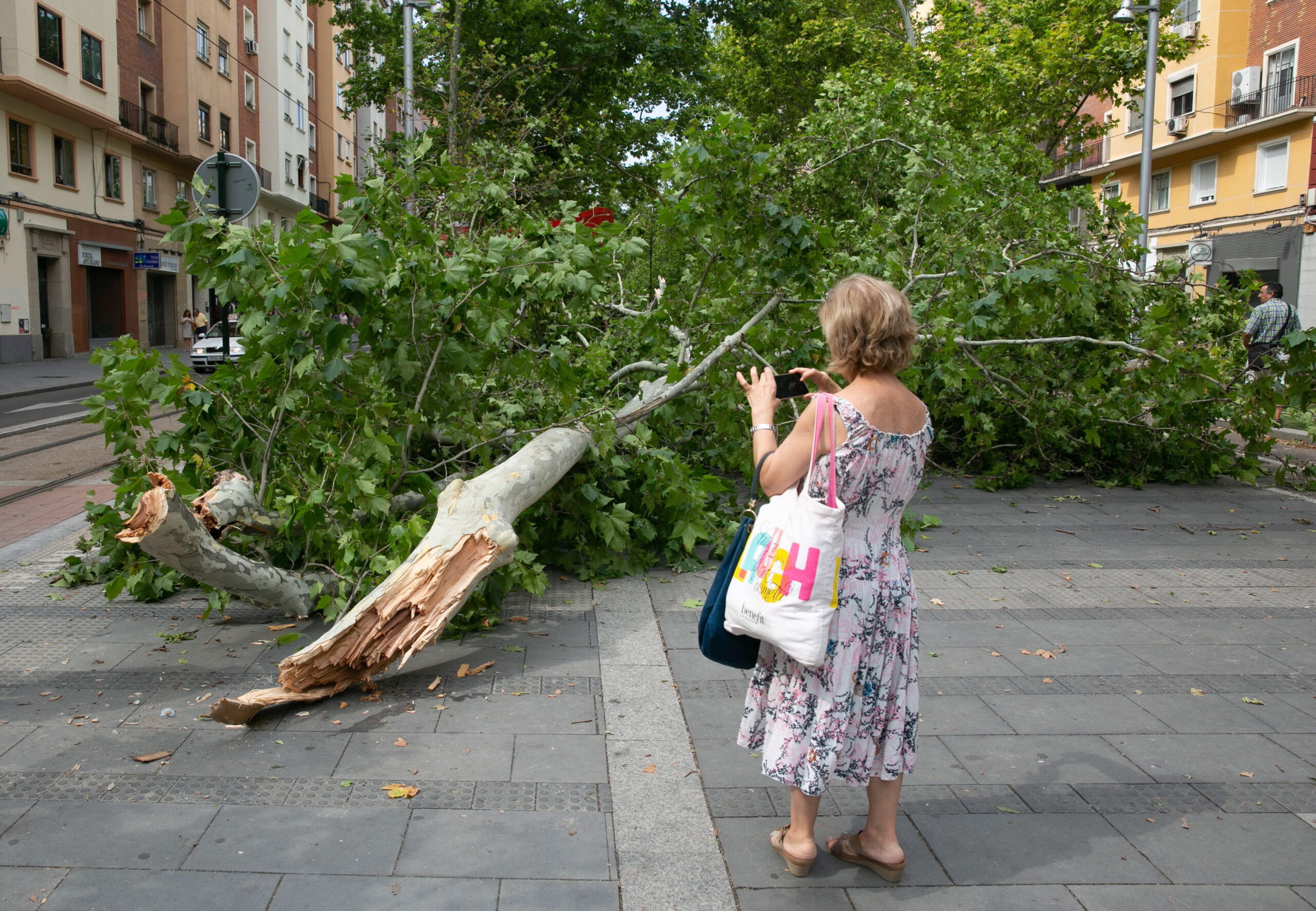 Бурята Сиара вилнее в Северозападна Европа – предизвика хаос и остави хиляди домакинства без ток
