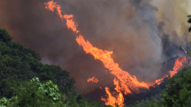 Започна периодът на горските пожари в Русия