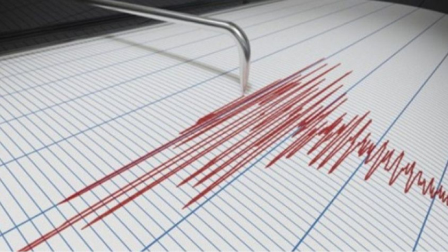 Земетресение с магнитуд 6,7 разтърси Индонезия