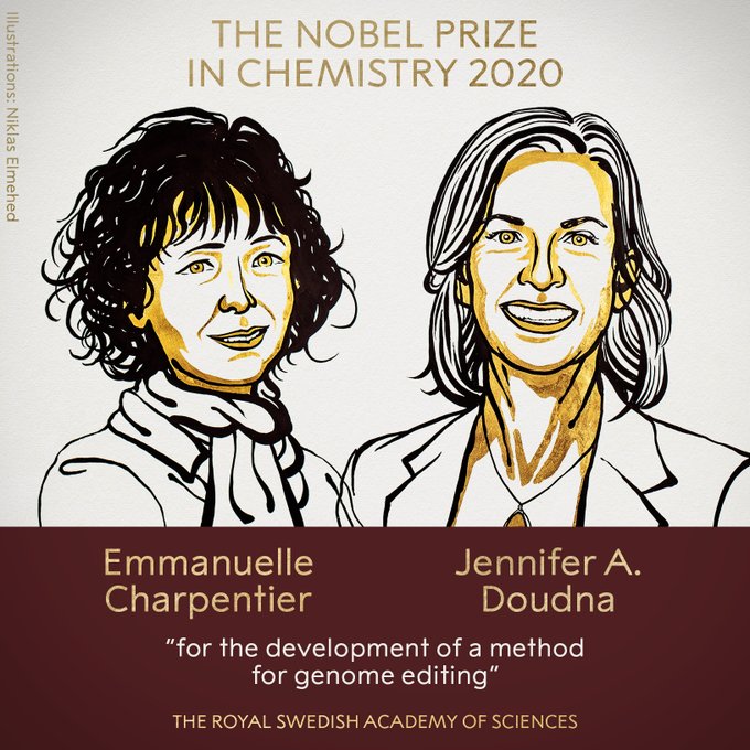 Нобелът за химия за 2020 г. връчен на двама учени за редактиране на генома