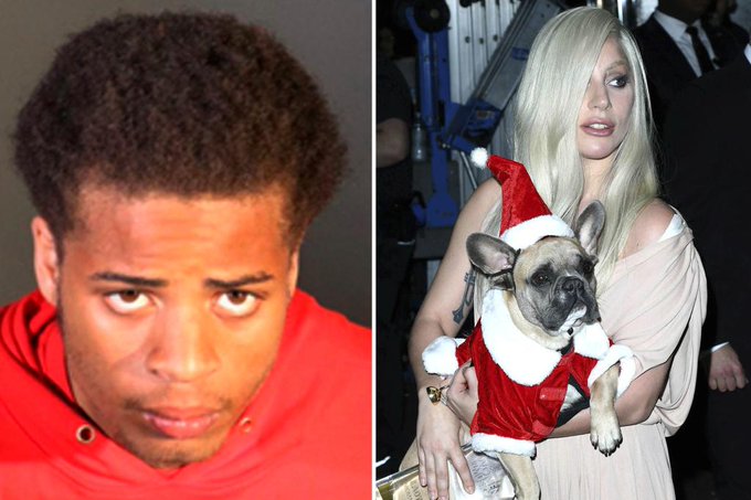 21 години затвор за похититител на кучетата на Лейди Гага