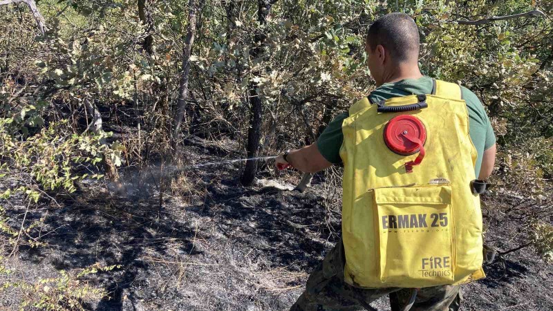 Военнослужещи от Сухопътните войски и днес помагат за потушаване на пожара край село Брягово, област Хасково - armymedia.bg Военнослужещи от Сухопътните войски и днес помагат за потушаване на пожара край село Брягово, област Хасково