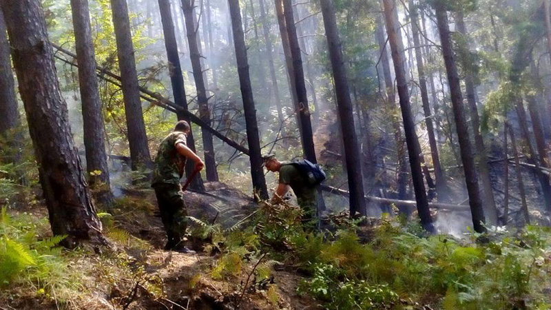Военнослужещи и хеликоптер втори ден гасят големия горски пожар в природен парк „Рила“