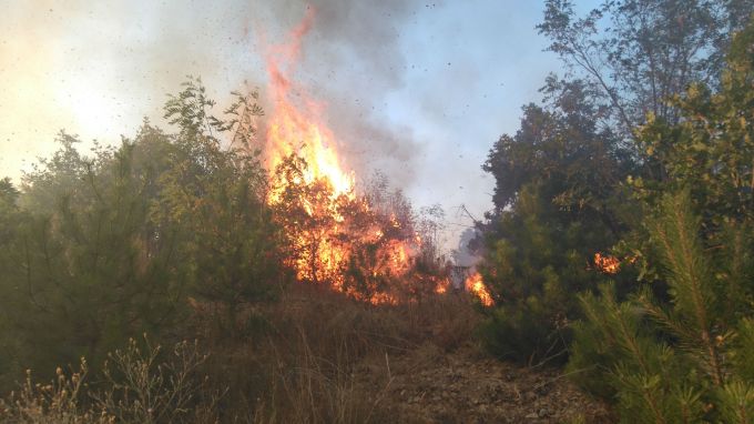 Голям пожар бушува над Бургаското село Изворище