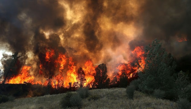 Горски пожар се разрасна в най-големия национален парк в Полша на Международния ден на Земята