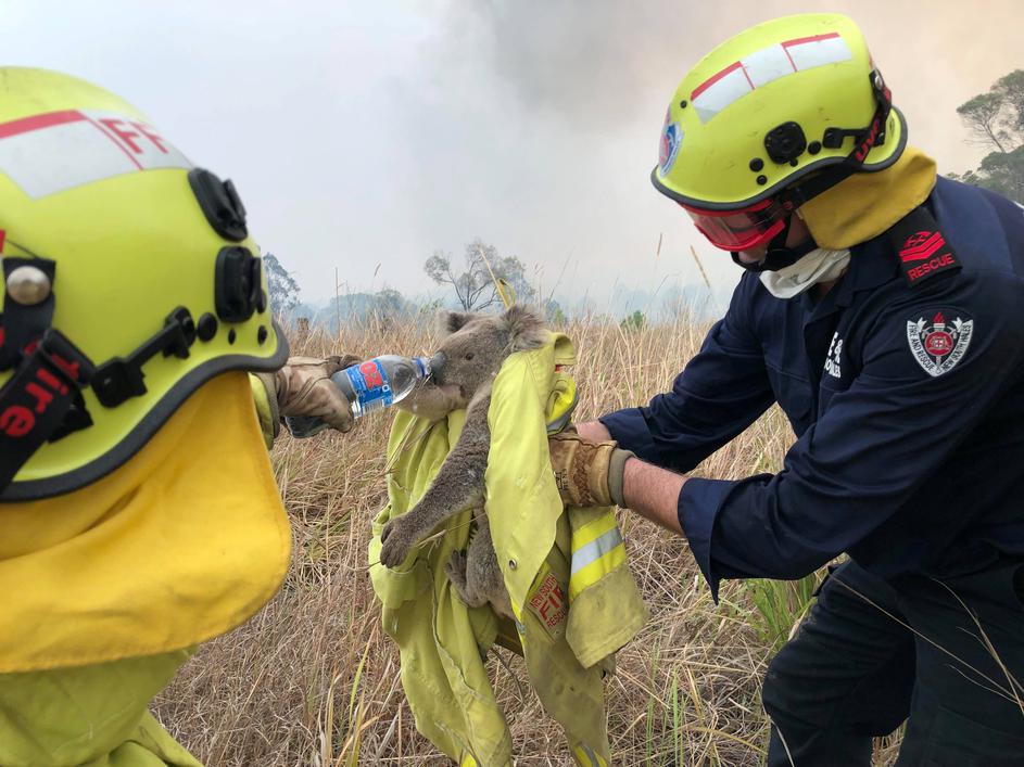 Равносметка: Австралия оценява щетите от горските пожари