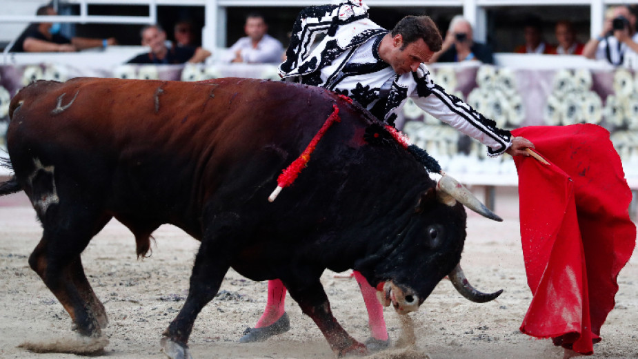 Френските депутати обсъждат забрана на борбата с бикове
