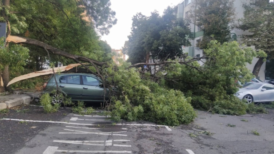 Над 120 коли са пострадали при бурята в Бургас, щети по инфраструктурата, унищожени са лозя