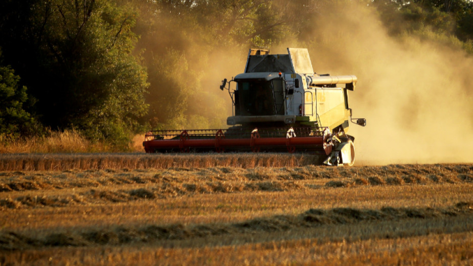 Земеделският сектор подготвя общонационален протест заради вноса на украинско зърно
