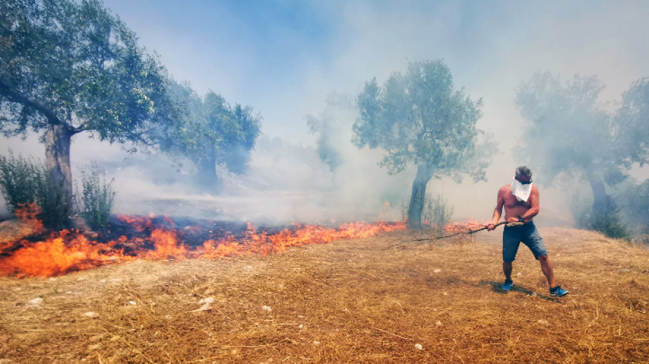 Огромен горски пожар в Калифорния. Гърция отново в плен на огнената стихия