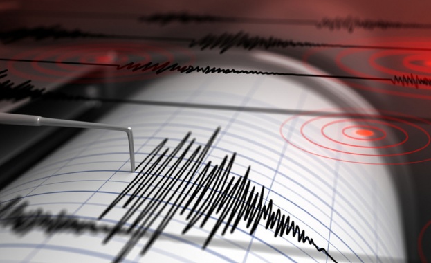 Земетресение с магнитуд 4,6 разтърси Южна Калифорния