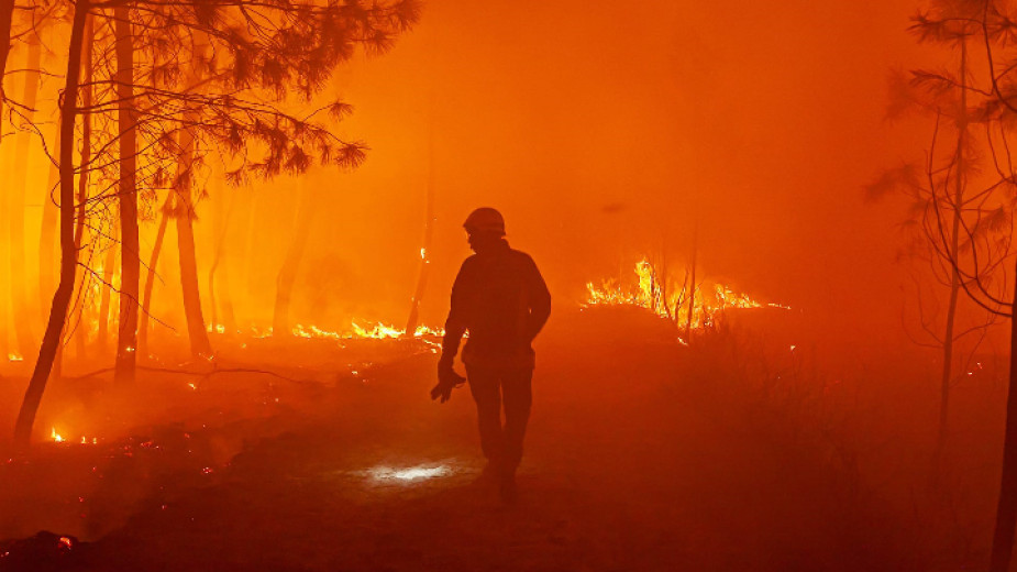 Продължава борбата с големи пожари в Португалия, Франция и САЩ