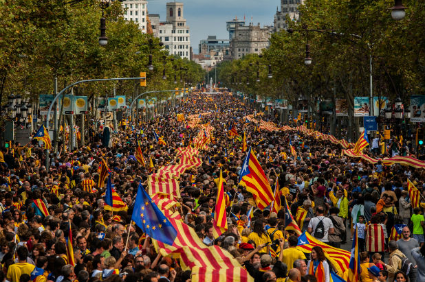 Със сблъсъци между демонстранти и полиция Каталуния отбеляза деня на испанската конституция