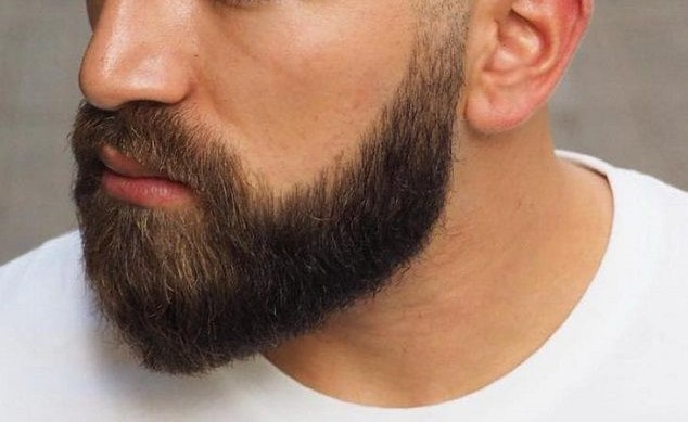 Учени от САЩ, установили ползата от мъжката брада при юмручен бой, получиха Антинобелова награда за мир