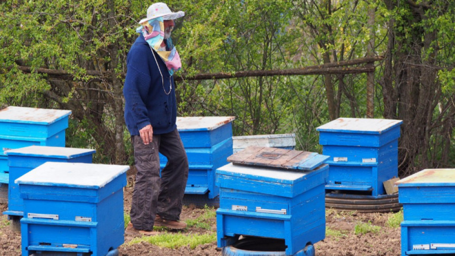 Животновъди и пчелари могат да кандидатстват за помощи заради наводненията