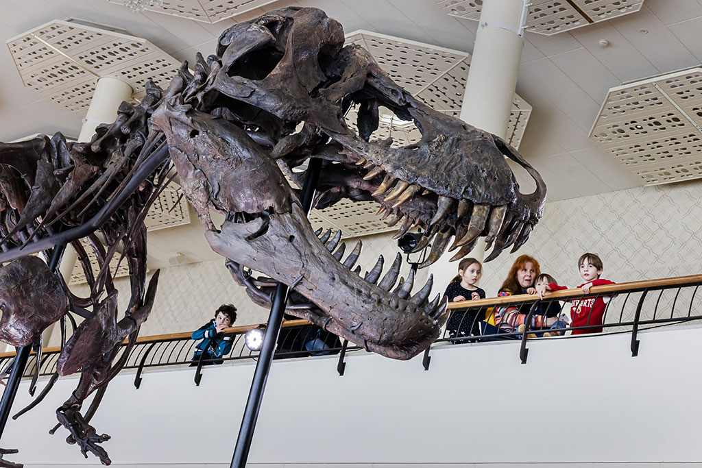 Учени: Тиранозавър рекс е имал устни