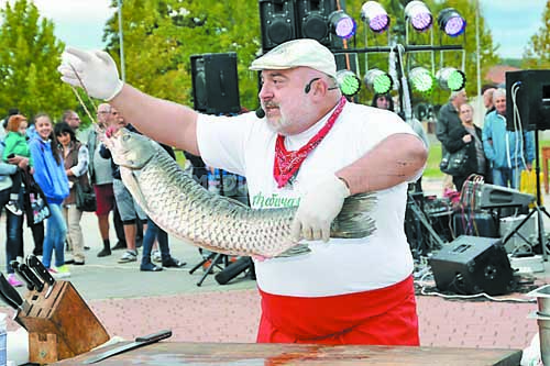 Рекордът на Ути Бъчваров – 400 кг див шаран за ден