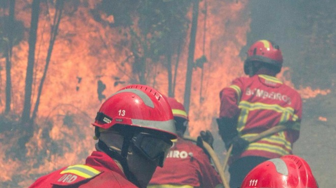 3-дневен национален траур в Португалия – горски пожари отнеха живота на най-малко 62 души
