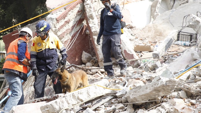 След опустошителното земетресение продължава издирването на оцелели в Мексико