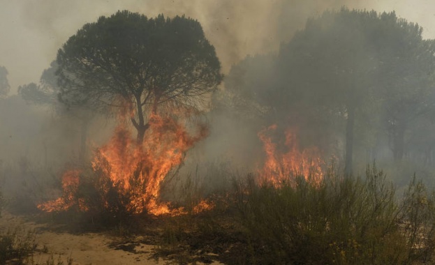 Ветрове до 90 км/ч затрудняват гасенето на пожара в Южна Испания