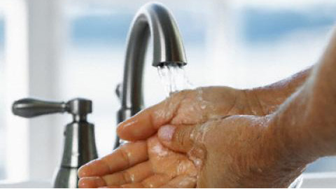 Добрата хигиена е най-сигурната превенция срещу летните вируси