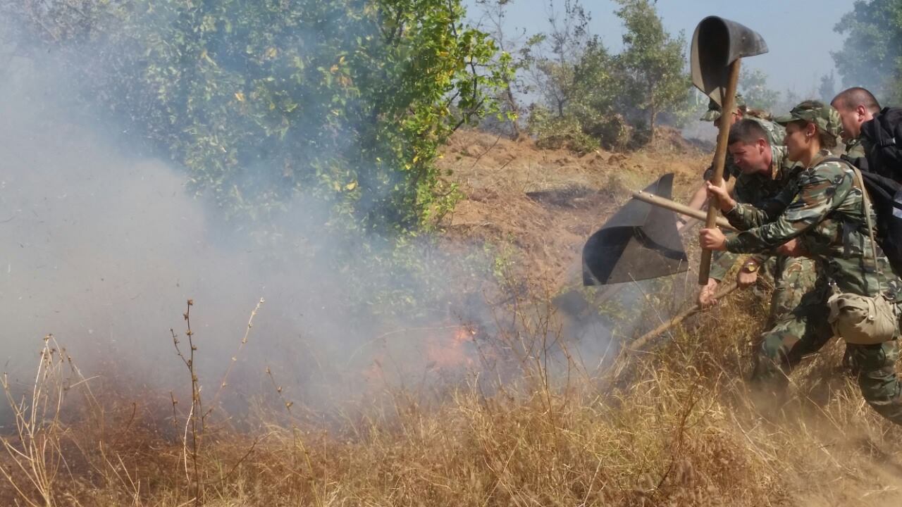 Сухопътни войски овладяват пожар в област Хасково