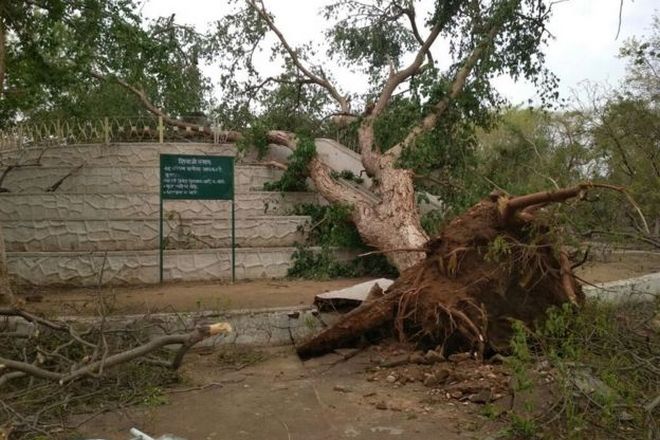 Пясъчни и гръмотевични бури в Индия – бедствието взе близо 100 жертви