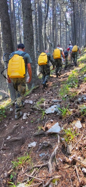 - armymedia.bg