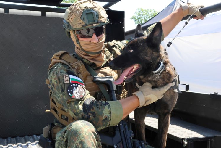 Защитата на родината е призвание - armymedia.bg Защитата на родината е призвание