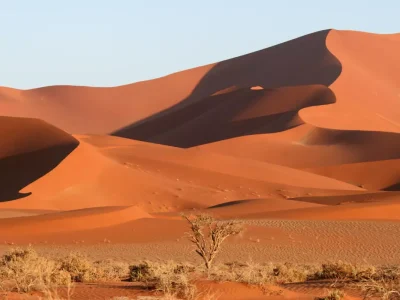 namibian_desert